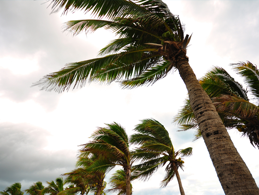 CYCLONE (PRE AND POST EVENT) SAFETY RECOMMENDATIONS AND PROCEDURES FOLLOWING DAMAGE (1)