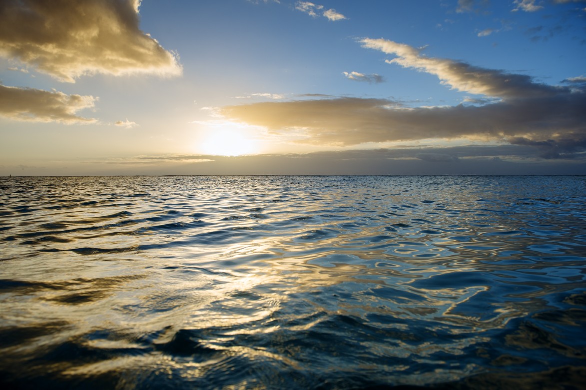 Our International Reach