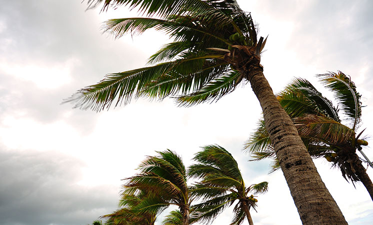 CYCLONE (PRE AND POST EVENT) SAFETY RECOMMENDATIONS AND PROCEDURES FOLLOWING DAMAGE